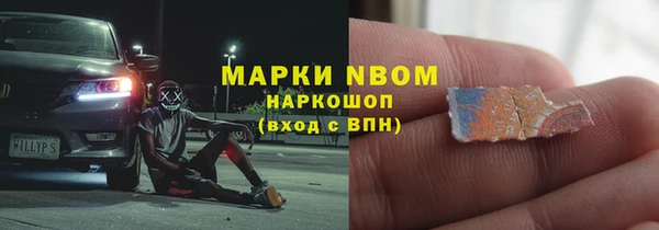 ECSTASY Бородино