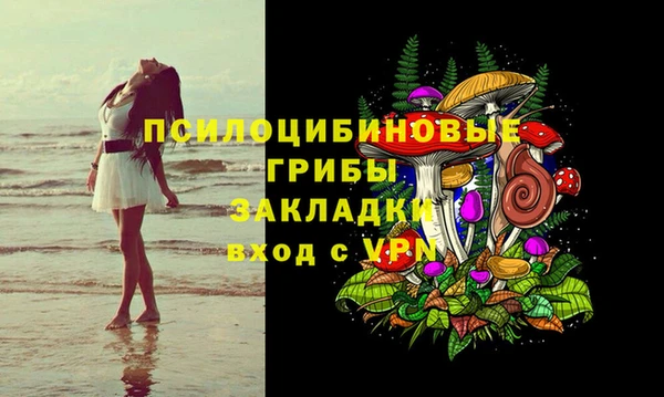 ALPHA PVP Верея