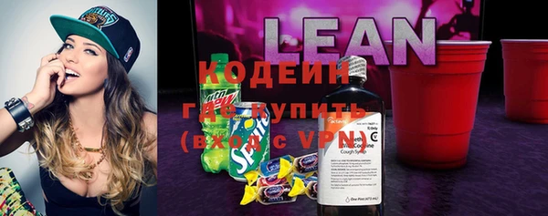 ECSTASY Бородино