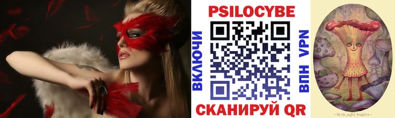 Псилоцибиновые грибы Psilocybine cubensis Истра